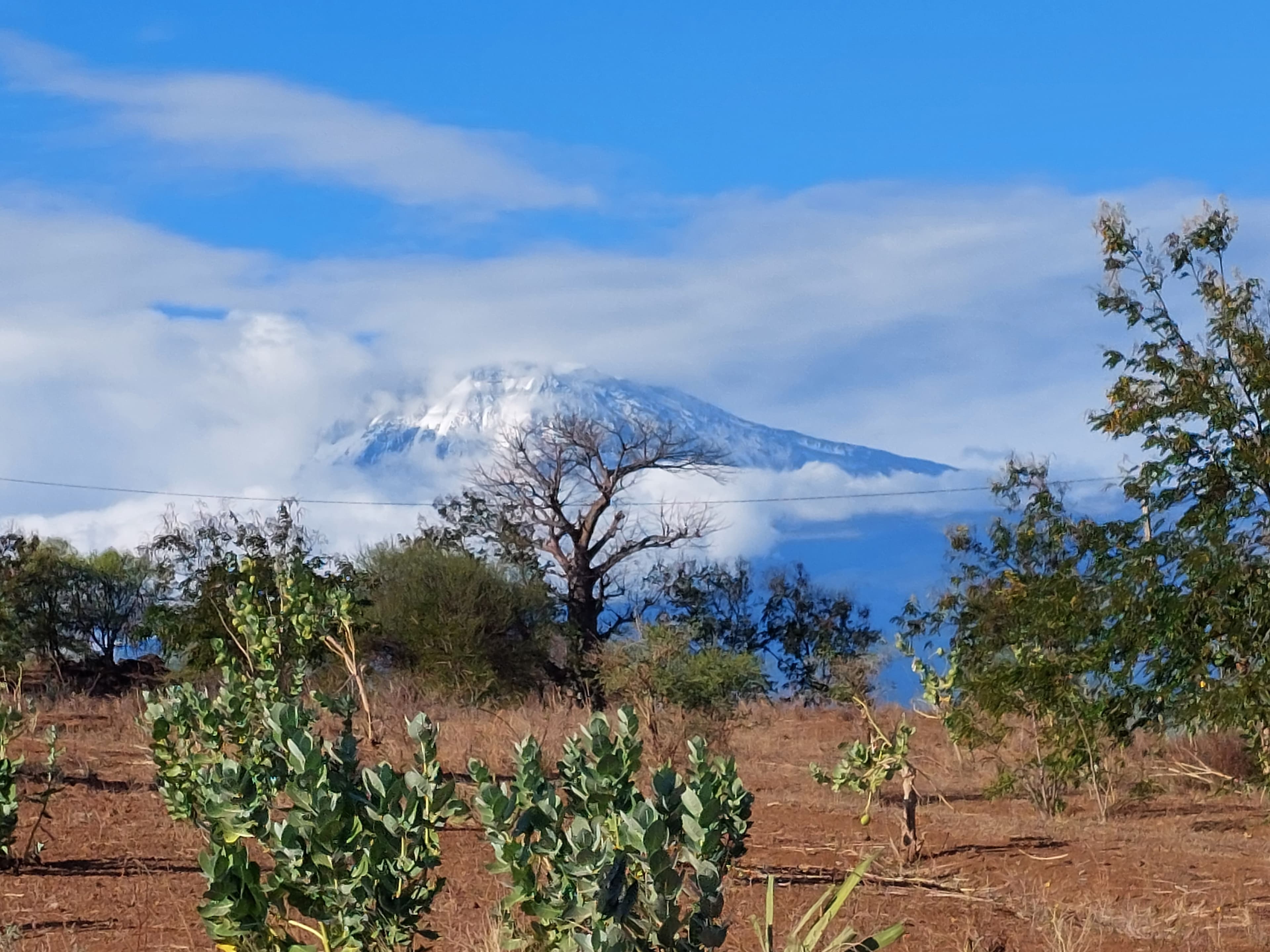 Kilimanjaro Peak View