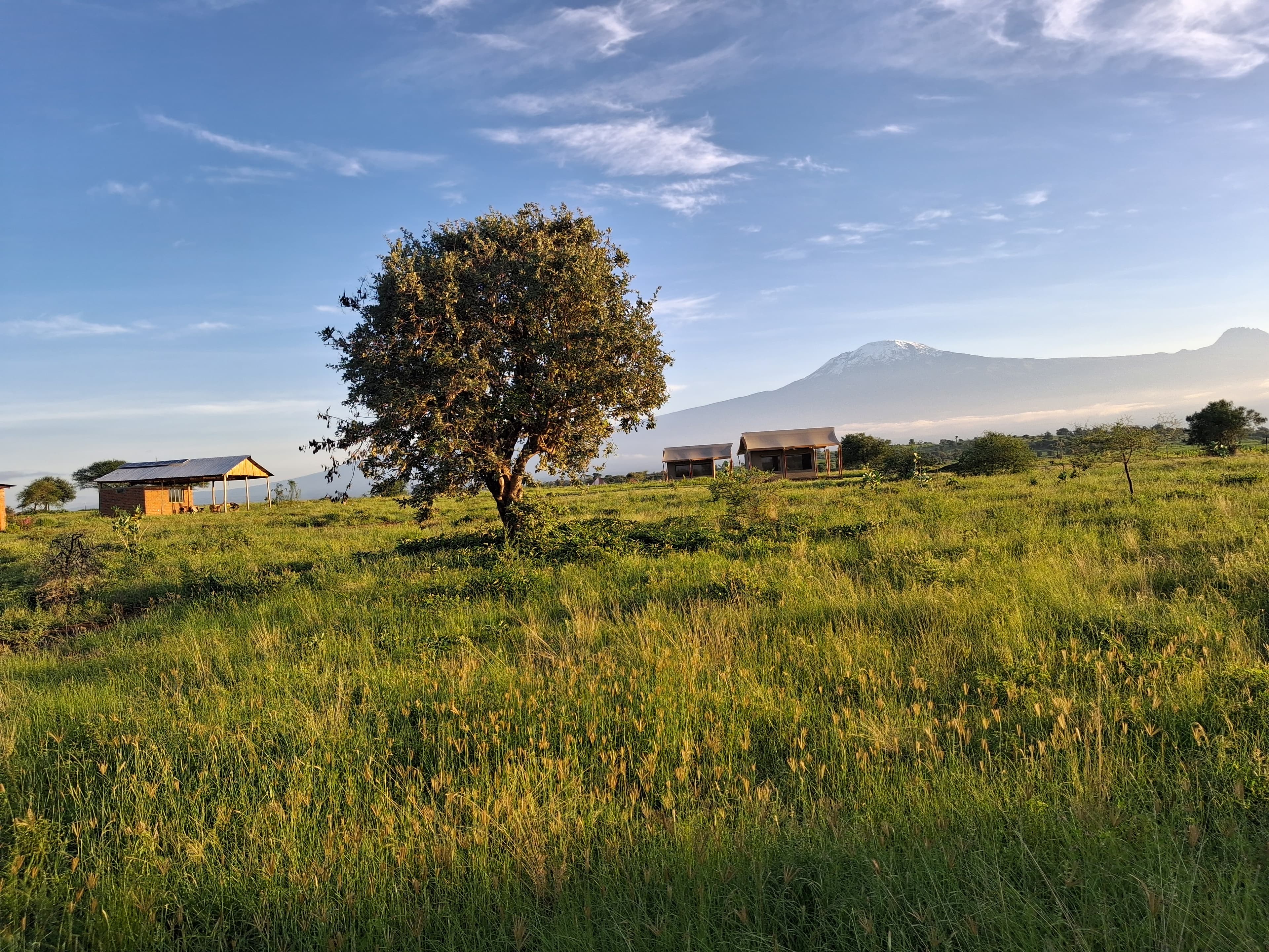 Safari Canvas Camps